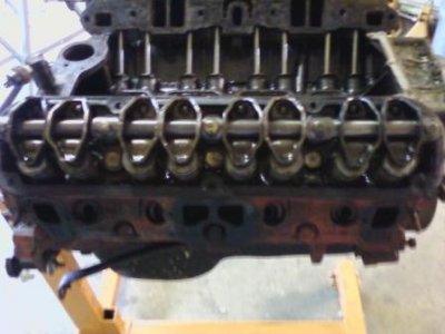 1120111517.jpg 1120111517.jpg