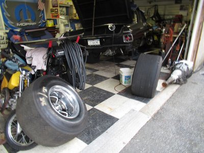 7.8.17 012.jpg 7.8.17 012.jpg