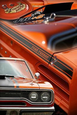 d1c337020184415d376c5e30f73d010f.jpg