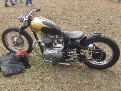 pumpkinrun002.jpg