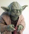 th_yoda.jpg