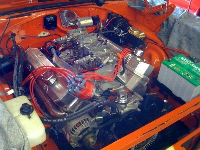 Six Pack (Medium).jpg