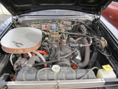 LIMOPARS 11.11 048.jpg