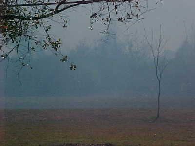 MVC-239S.jpg