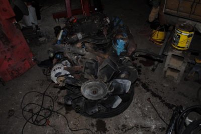 DSC_0809 (800x536).jpg DSC_0809 (800x536).jpg