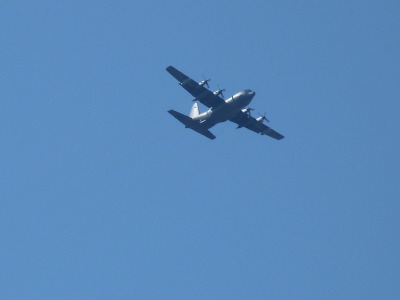 P1000737.jpg