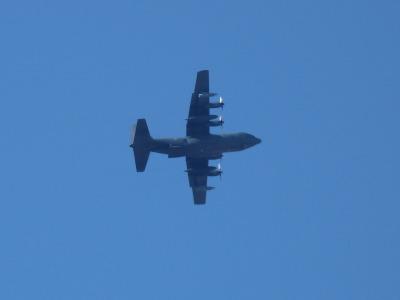P1000743.jpg