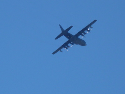 P1000744.jpg