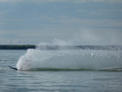 P1010321.jpg