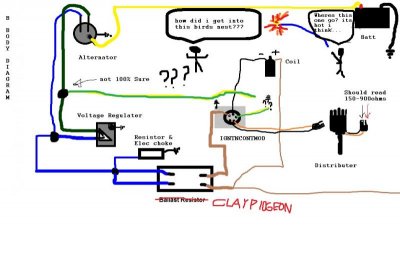B BODY DIAGRAM.jpg