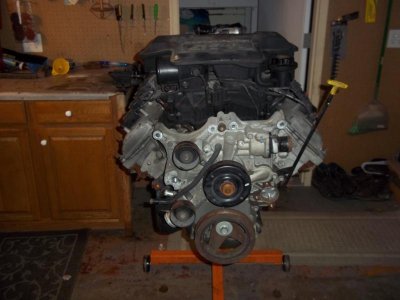 100_5438.jpg 100_5438.jpg