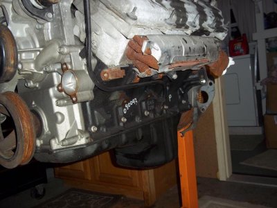 100_5439.jpg 100_5439.jpg