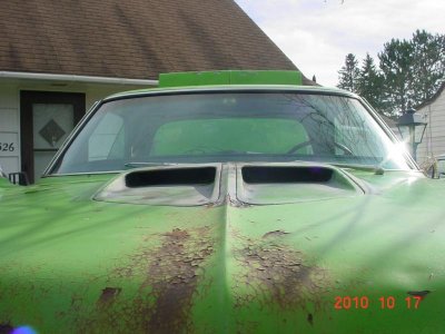 GREEN-GO BEE 024.jpg