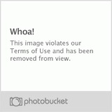 th_CamelToeVideo__SecondEdition-1.png