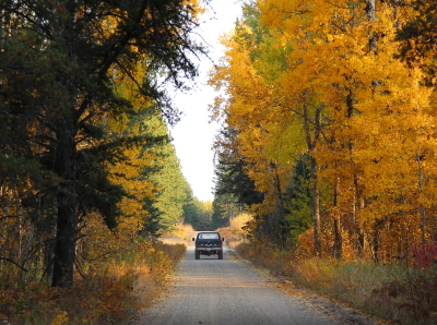 fall.jpg