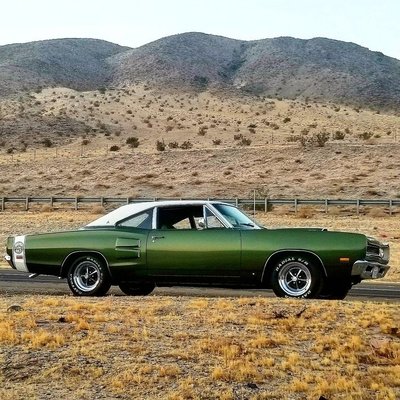 19956040_10154858688751985_7263363002189042266_o (2).jpg