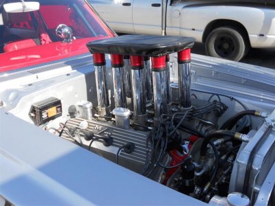 DSCN1824 (Large).jpg