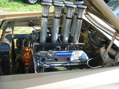 IMG_5685 (Large).jpg