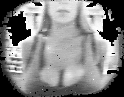 116.gif