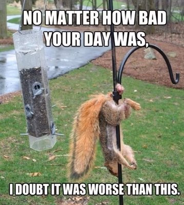 image.jpeg