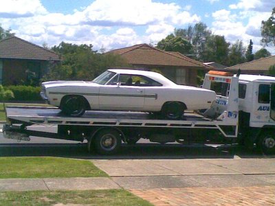 Just arrived 5.12.08.jpg