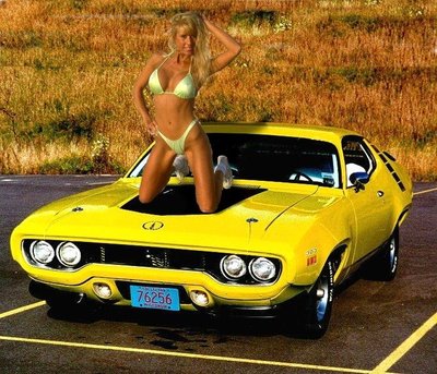hot_chick_hot_car1.jpg