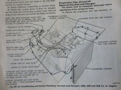 IMG_0336 (Large).JPG