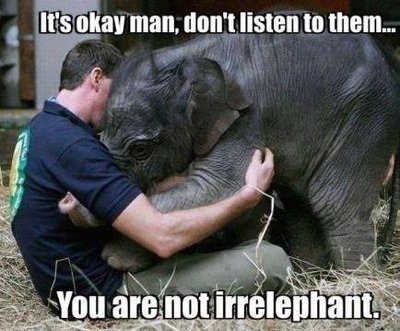 12 - Irrelephant.jpg 12 - Irrelephant.jpg