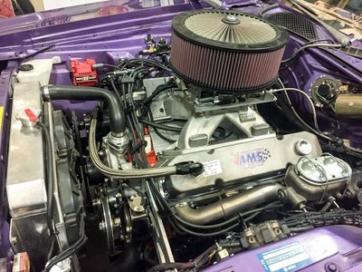 IMG_7116.JPG IMG_7116.JPG