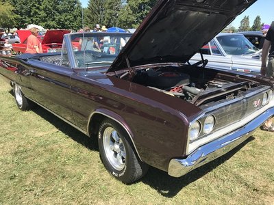 IMG_0488.JPG IMG_0488.JPG