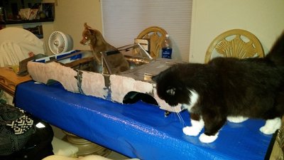 20170731_195739_1501556710044.jpg