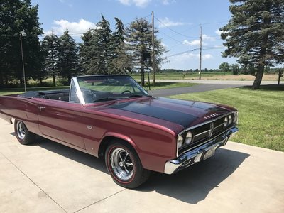 IMG_9364.JPG IMG_9364.JPG