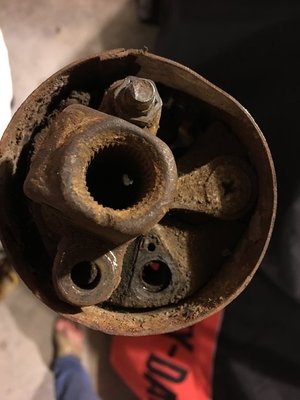 IMG_1355.JPG IMG_1355.JPG