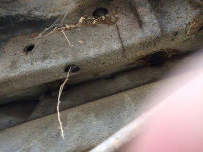 IMG_0166.JPG IMG_0166.JPG