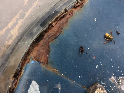 IMG_0176.JPG IMG_0176.JPG