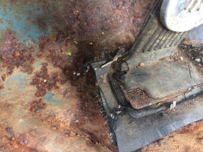 IMG_0181.JPG IMG_0181.JPG