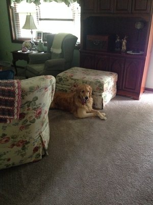 IMG_1016.JPG IMG_1016.JPG