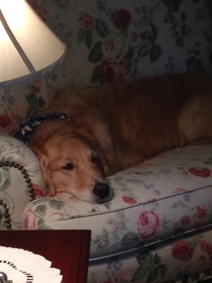 IMG_1021.JPG IMG_1021.JPG