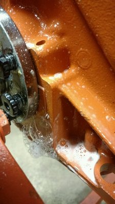 IMG_9133.JPG IMG_9133.JPG