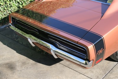 TAIL-STRIPE1.jpg