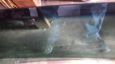 20170806_152958.jpg