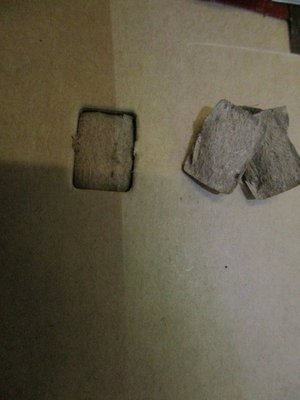 IMG_0077.JPG IMG_0077.JPG