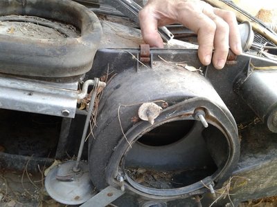 20170805_182041.jpg 20170805_182041.jpg