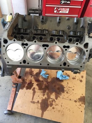 IMG_1742.JPG IMG_1742.JPG