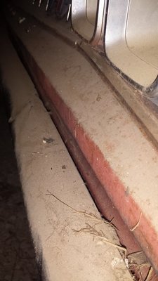 20170813_051214.jpg