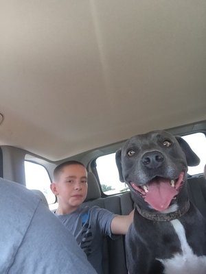 IMG_1075.JPG IMG_1075.JPG