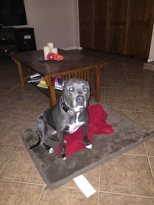 IMG_1077.JPG IMG_1077.JPG