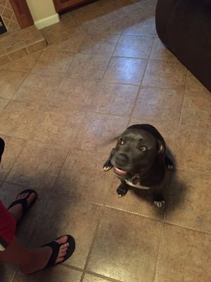 IMG_1099.JPG IMG_1099.JPG