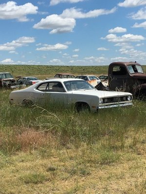 duster 1.jpg duster 1.jpg