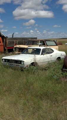 Duster 8.jpg Duster 8.jpg